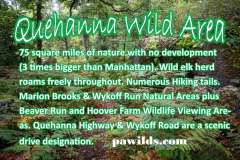 Quehanna Wild Area